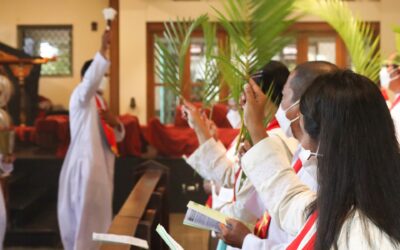 Minggu Palma 2022: Berjalan Bersama Yesus dalam Ketaatan