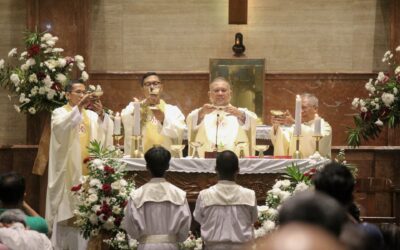 Menyambut Vikaris Paroki Baru: Romo Agus